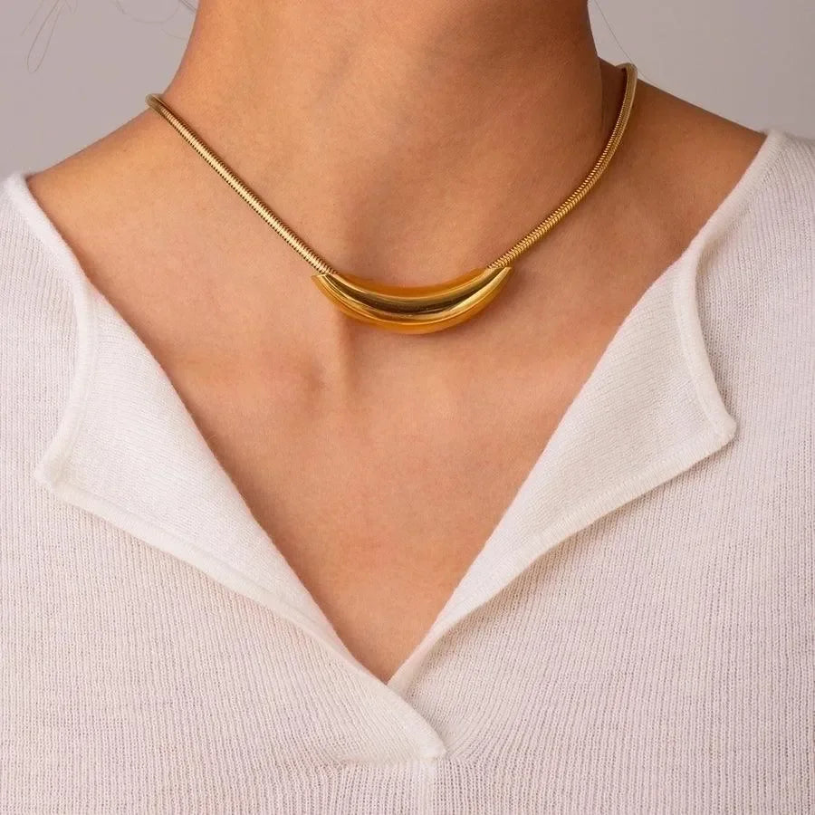 Classic Style Solid Choker - Diatoms