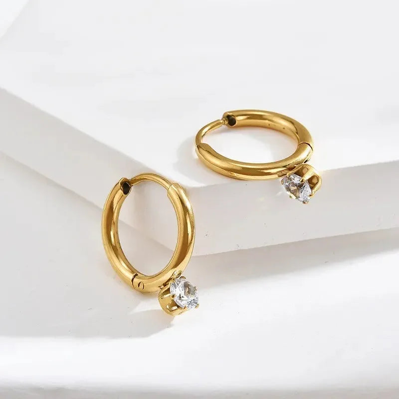 Cute French Earrings - Diatoms