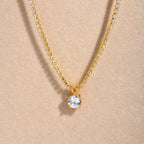 Glittering Glam Pendant - Diatoms
