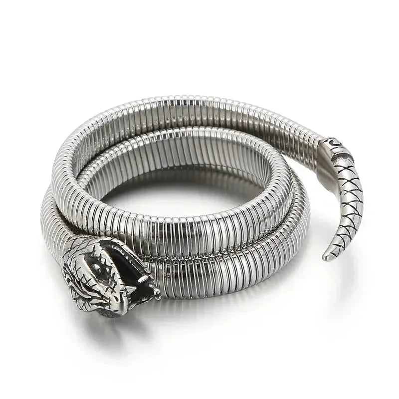 Snake Coil Inspired Unisex Bangle - Diatoms