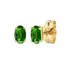 Tiny Tether Drop Earrings Ear Studs - Diatoms