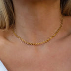 Golden Heart Chain Necklace - Diatoms