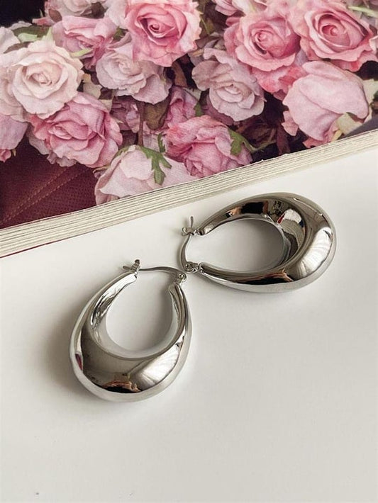 Aristocrat's Silver Earrings