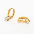 Cute French Earrings - Diatoms