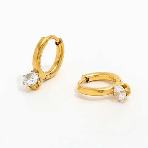 Cute French Earrings - Diatoms
