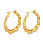 Radiant Gold Circle Earrings - Diatoms