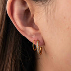 Dual Curl Elegance Earrings - Diatoms