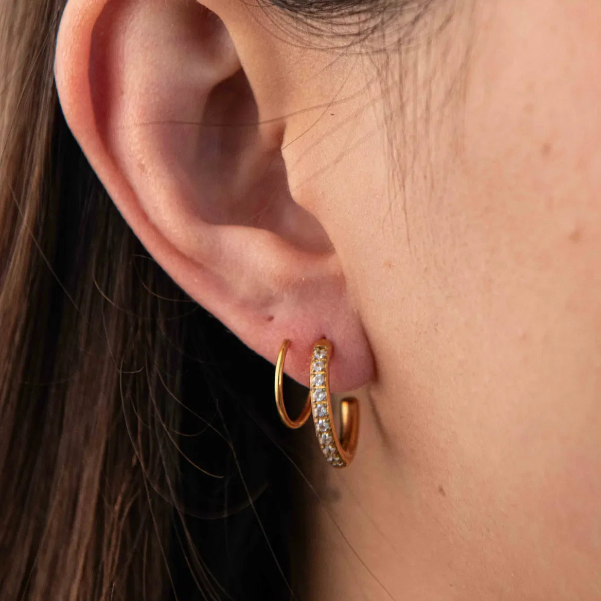 Dual Curl Elegance Earrings - Diatoms