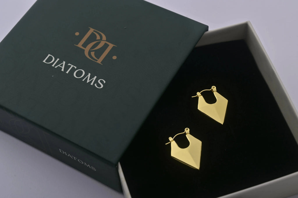 Radiant Gold Drop Earrings - Diatoms