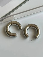 Exquisite Silver Circles Earrings - Diatoms