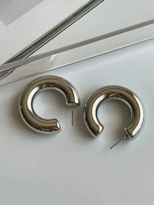 Exquisite Silver Circles Earrings - Diatoms