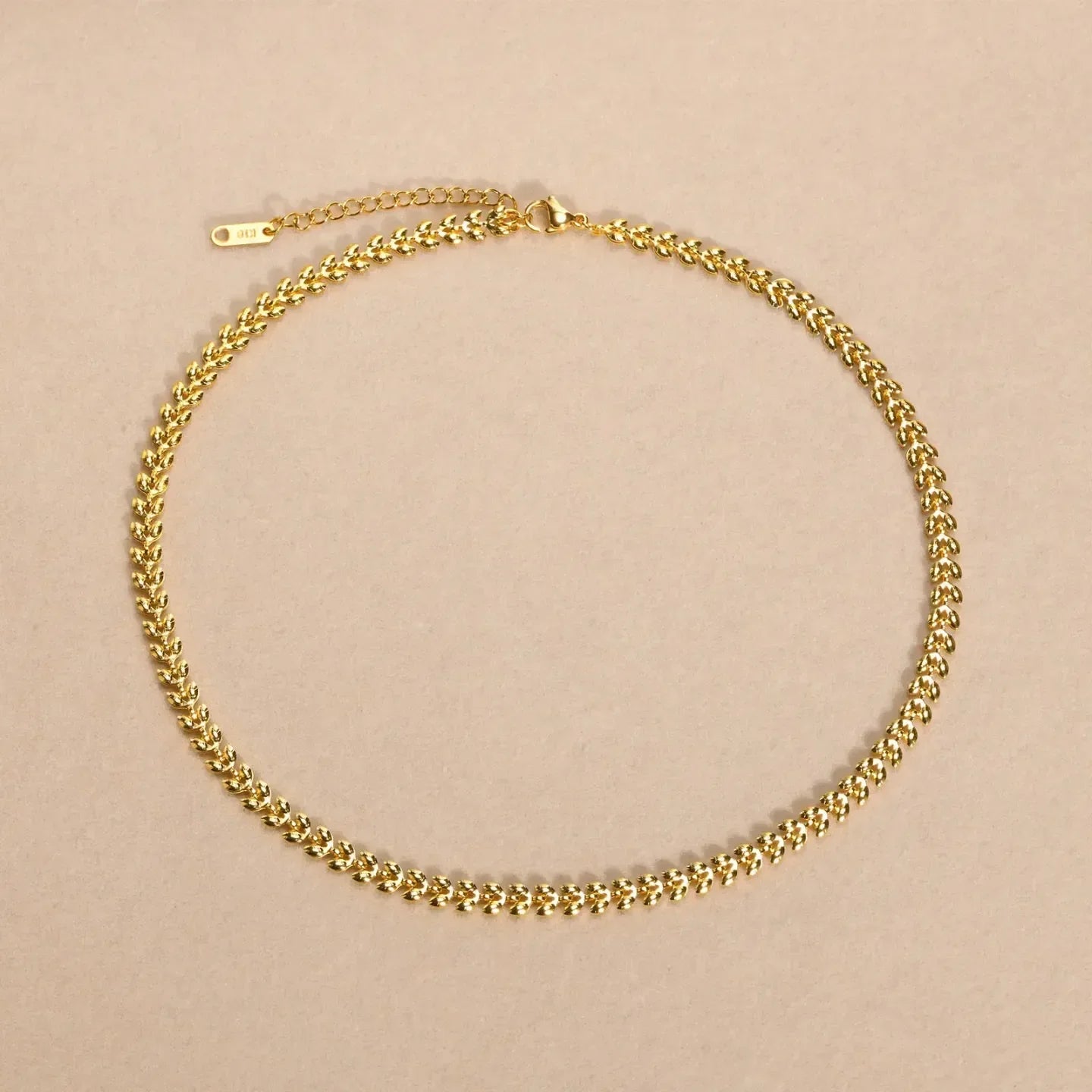 Leaf Shape Round Necklace - Diatoms