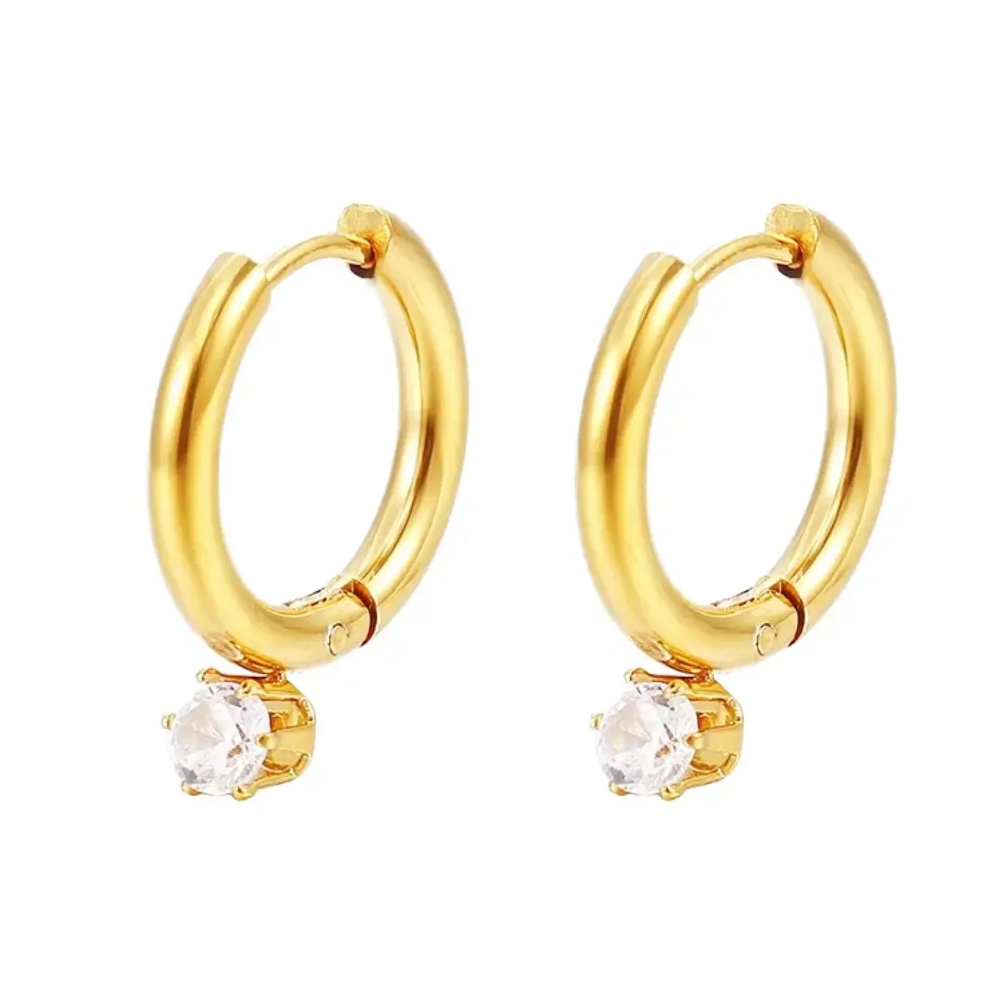 Cute French Earrings - Diatoms
