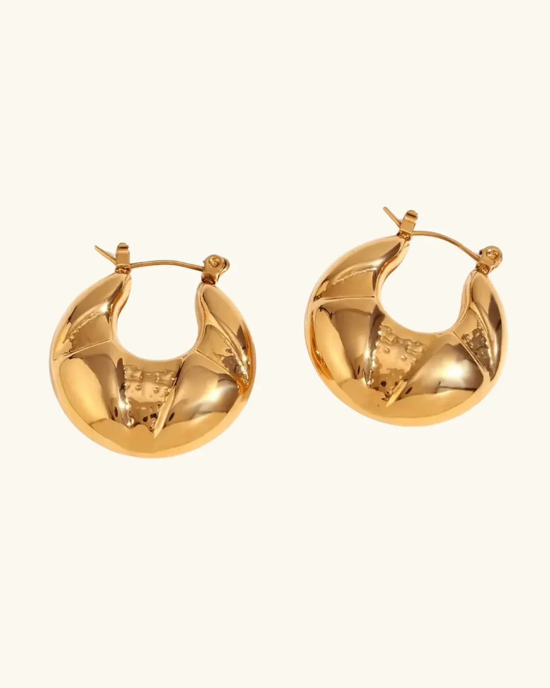 Golden Dazzle Hoop Earrings - Diatoms